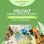 Plakat mit Werbung f&uuml;r das Ferienprogramm