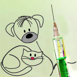 Impfschutz für Tiere